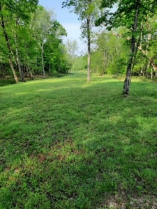 Peace Of Mind On Fully Sustainable 26 Acres - image 7