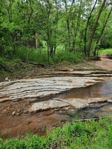 Peace Of Mind On Fully Sustainable 26 Acres - image 2