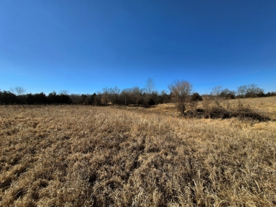 Land for Sale, Hunting / Farm Acreage, Great Building Site - image 2