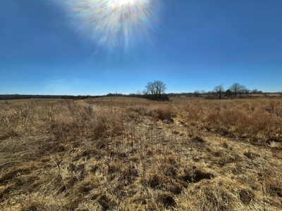 Land for Sale, Hunting / Farm Acreage, Great Building Site - image 5