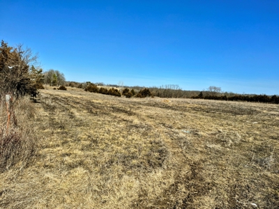 Land for Sale, Hunting / Farm Acreage, Great Building Site - image 6