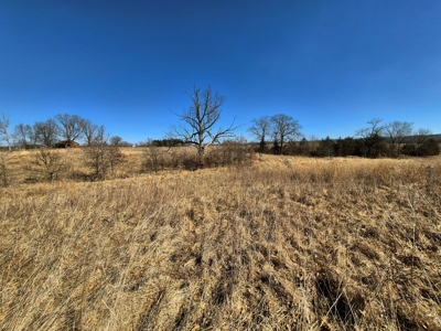 Land for Sale, Hunting / Farm Acreage, Great Building Site - image 4