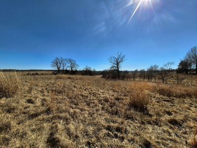 Land for Sale, Hunting / Farm Acreage, Great Building Site - image 3