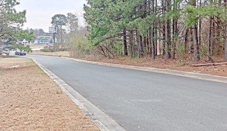 Commercial Land in Booming Pageland South Carolina - image 12