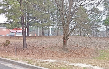 Commercial Land in Booming Pageland South Carolina - image 15