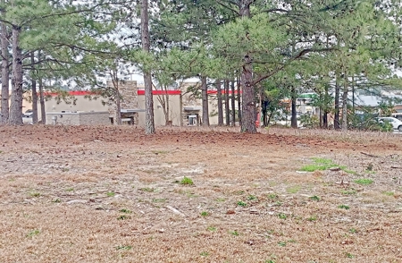 Commercial Land in Booming Pageland South Carolina - image 11