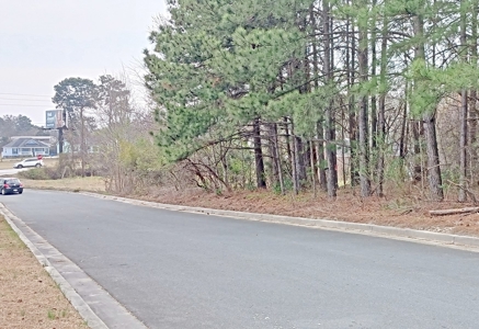 Commercial Land in Booming Pageland South Carolina - image 14