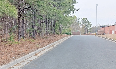 Commercial Land in Booming Pageland South Carolina - image 16