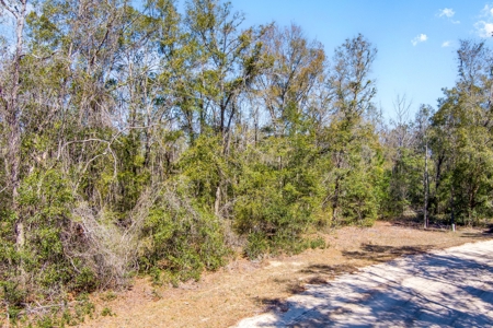 Land For Sale In Jennings Florida!!!! - image 11