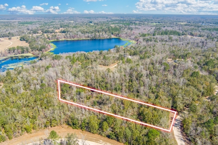 Land For Sale In Jennings Florida!!!! - image 1