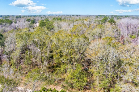 Land For Sale In Jennings Florida!!!! - image 7