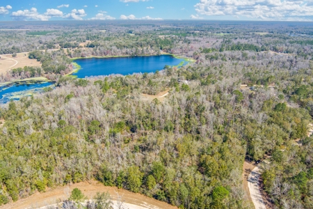 Land For Sale In Jennings Florida!!!! - image 4