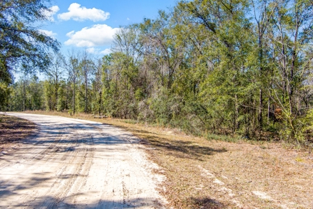 Land For Sale In Jennings Florida!!!! - image 12