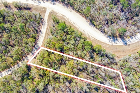 Land For Sale In Jennings Florida!!!! - image 9