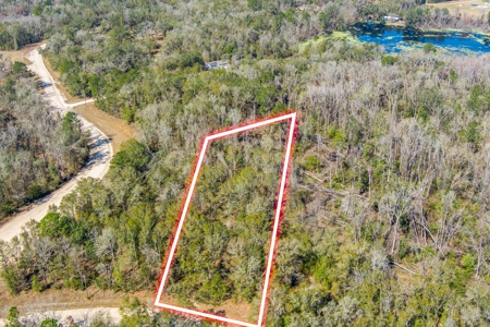 Land For Sale In Jennings Florida!!!! - image 3