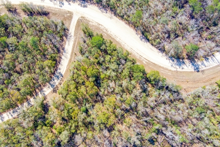 Land For Sale In Jennings Florida!!!! - image 8