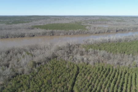 Land With Hunting Acreage For Sale In Wilcox County - image 5