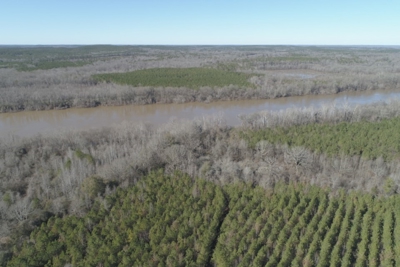 Land With Hunting Acreage For Sale In Wilcox County