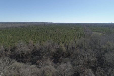 Land With Hunting Acreage For Sale In Wilcox County - image 4