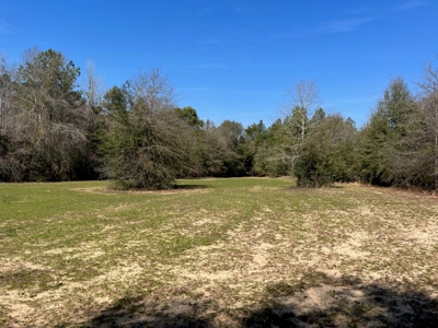Land With Hunting Acreage For Sale In Wilcox County - image 37