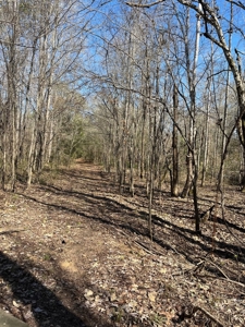 Land With Hunting Acreage For Sale In Wilcox County - image 36