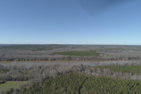 Land With Hunting Acreage For Sale In Wilcox County - image 6