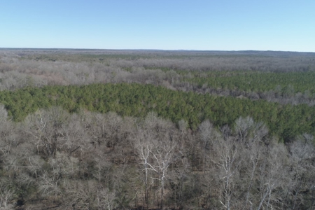 Land With Hunting Acreage For Sale In Wilcox County - image 3