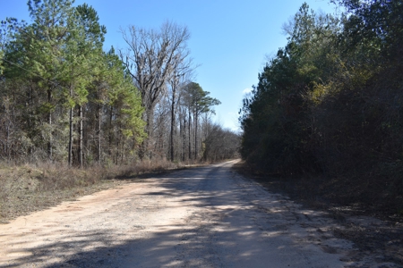 Land With Hunting Acreage For Sale In Wilcox County - image 10