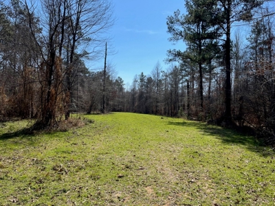 Land With Hunting Acreage For Sale In Wilcox County - image 30