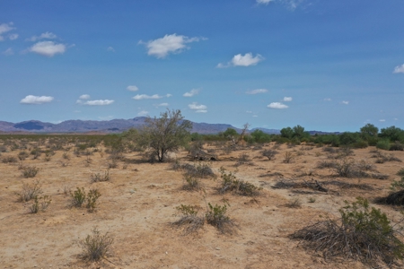 Online Auction 240 Acres Desert Land 5 Parcels (Salome, Az) - image 11