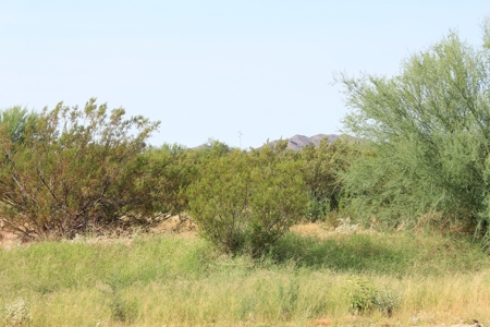 Online Auction 240 Acres Desert Land 5 Parcels (Salome, Az) - image 5