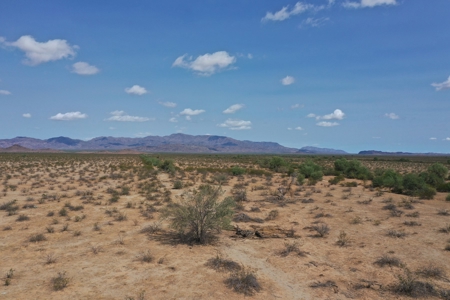 Online Auction 240 Acres Desert Land 5 Parcels (Salome, Az) - image 10