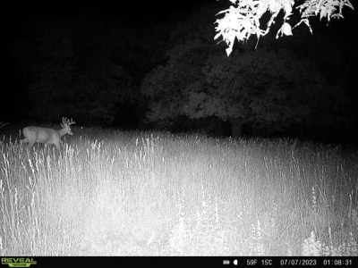 Southern Iowa Hunting & Recreational Land For Sale - image 20