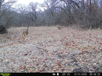 Southern Iowa Hunting & Recreational Land For Sale - image 15