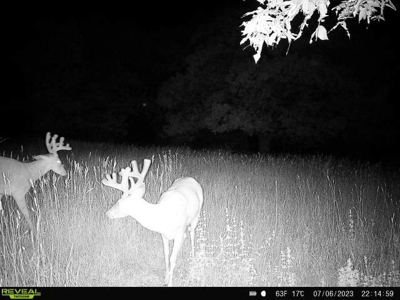 Southern Iowa Hunting & Recreational Land For Sale - image 18