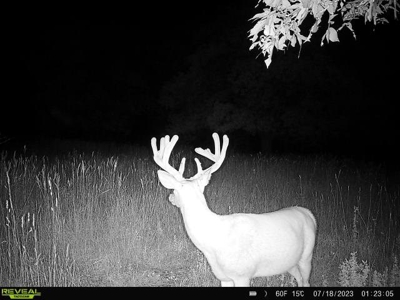 Southern Iowa Hunting & Recreational Land For Sale - image 10