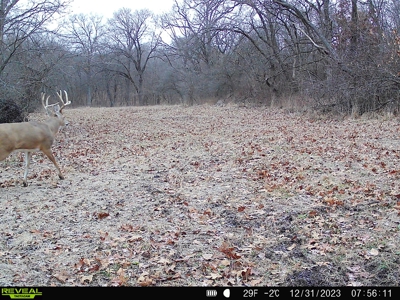 Southern Iowa Hunting & Recreational Land For Sale - image 14
