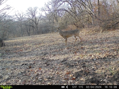 Southern Iowa Hunting & Recreational Land For Sale - image 16