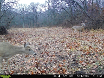 Southern Iowa Hunting & Recreational Land For Sale - image 12