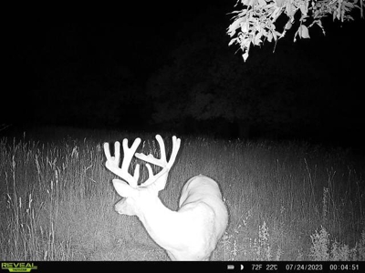 Southern Iowa Hunting & Recreational Land For Sale - image 9