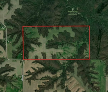 Southern Iowa Hunting & Recreational Land For Sale - image 37