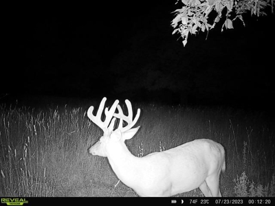 Southern Iowa Hunting & Recreational Land For Sale - image 7