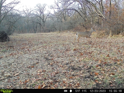 Southern Iowa Hunting & Recreational Land For Sale - image 11