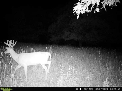 Southern Iowa Hunting & Recreational Land For Sale - image 19