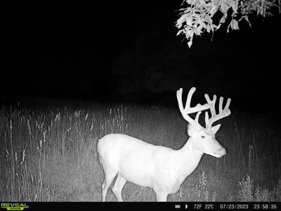 Southern Iowa Hunting & Recreational Land For Sale - image 8