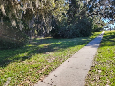 Commercial Zoned Property In High Springs Florida - image 1