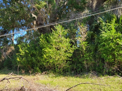 Commercial Zoned Property In High Springs Florida - image 2