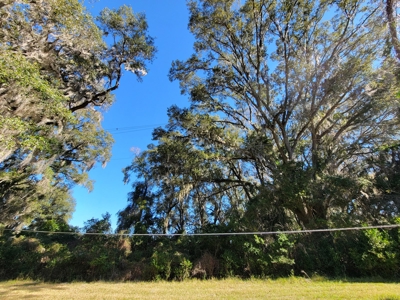 Commercial Zoned Property In High Springs Florida - image 9