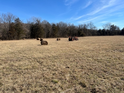 Ozark County Retreat with Live Water, Hunting Cabin & Views - image 2