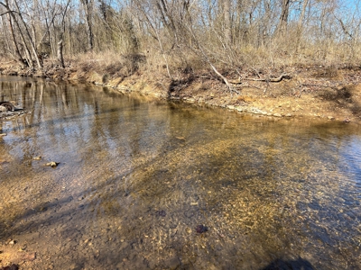 Ozark County Retreat with Live Water, Hunting Cabin & Views - image 5